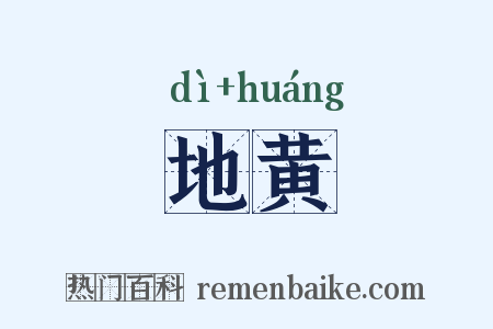 地黄是什么意思的图片